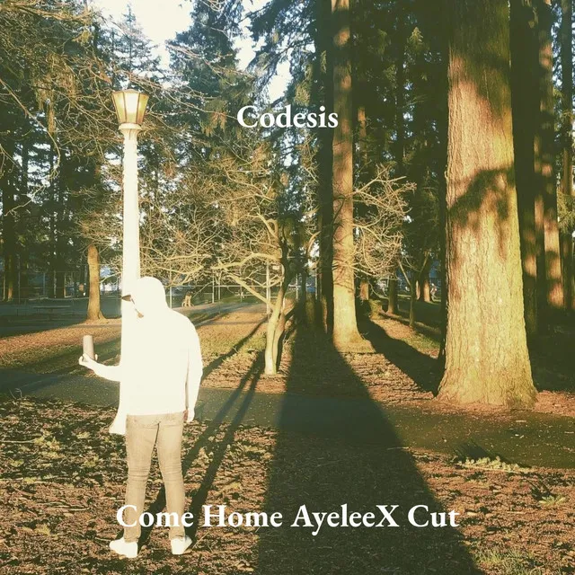 Come Home - AyeleeX Remix