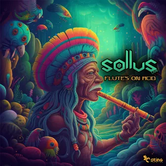 Flutes On Acid by Sollus Live