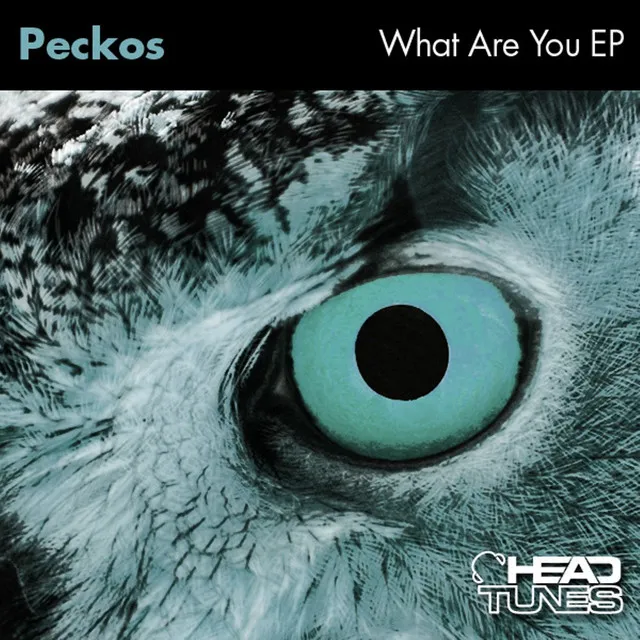 What Are You - Pete Dafeeet's Remix