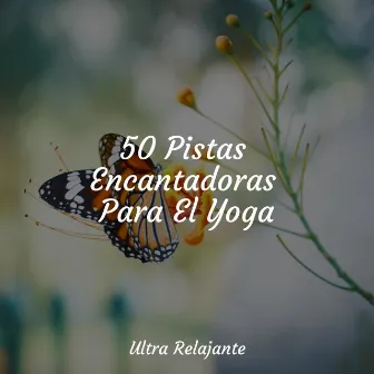 50 Pistas Encantadoras Para El Yoga by Musica Para Relajarse