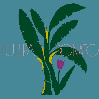 Tulipa e Donato by Tulipa Ruiz