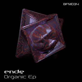 Organic by Ende