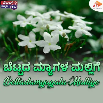 Bettadamyagala Mallige by Shashank Maleymatha