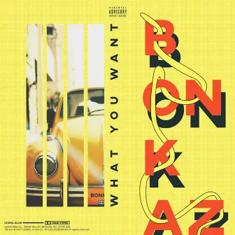 What You Want by Bonkaz