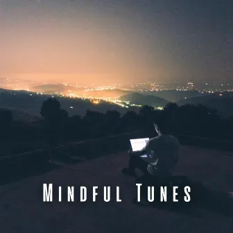 Mindful Tunes: Chill Music for a Work-Life Balance by Calm Work Music