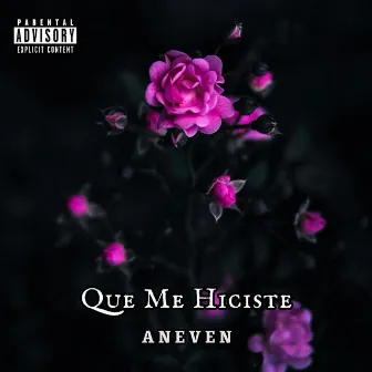 Que Me Hiciste by Unknown Artist