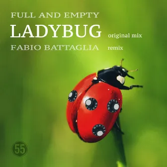 Ladybug by Fabio Battaglia