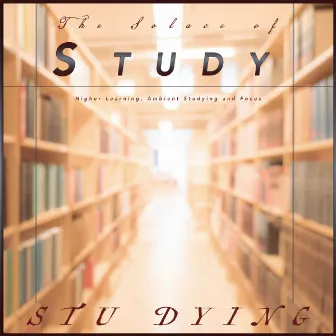 The Solace of Study: Higher Learning, Ambient Studying and Focus by Stu Dying