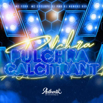 Pulchra Calcitrant by DJ PND