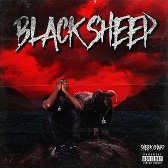 Black Sheep by Sheek Chapo