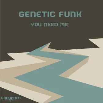 You Need Me by Genetic Funk