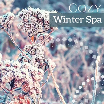 Cozy Winter Spa - 30 Songs with Nature Ambient Background for Quiet Moments by Winter Chic