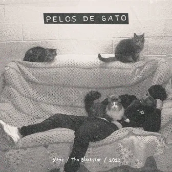 Pelos de gato by Btime