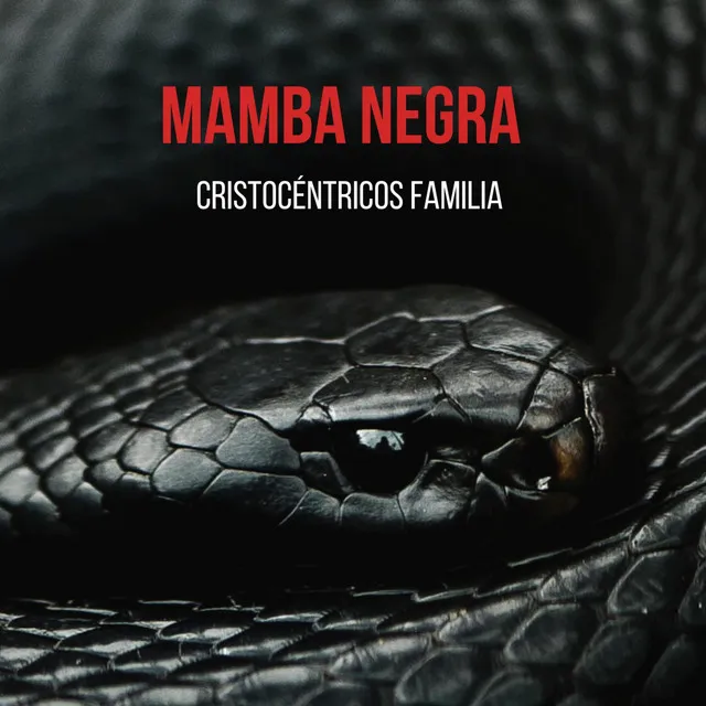 Mamba Negra