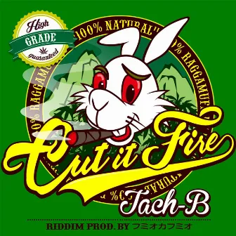 Cut it fire by Tach-B