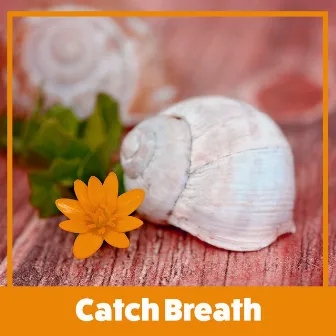 Catch Breath - After a Week at Work, Nice Time, Cool Treatments, Mask and Massage, Essential Oils, Aromatherapy and Quiet Sounds by Spa Weekend Masters