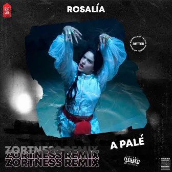 A Palé (Remix) by Zortness