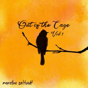 Out of the Cage, Vol. 1 by Merethe Soltvedt