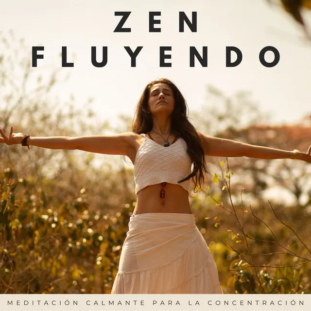 Zen Fluyendo: Meditación Calmante Para La Concentración