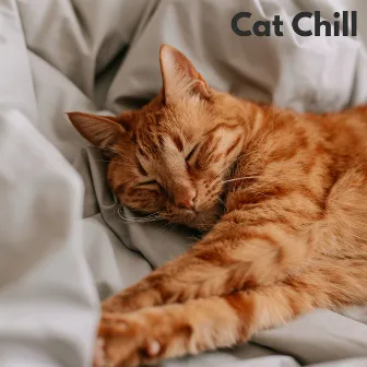 Cat Chill - Loopable, No Fade by Chiens relaxation profonde