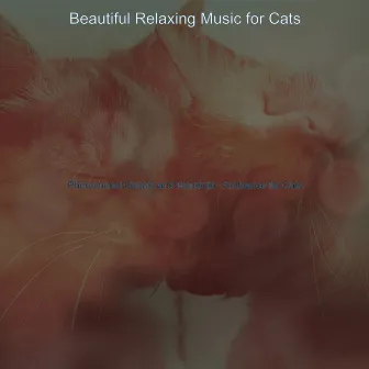 Phenomenal Guitars and Mandolin - Ambiance for Cats by 