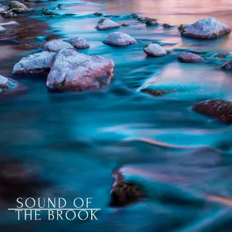 Sound Of The Brook by Nature Recordings