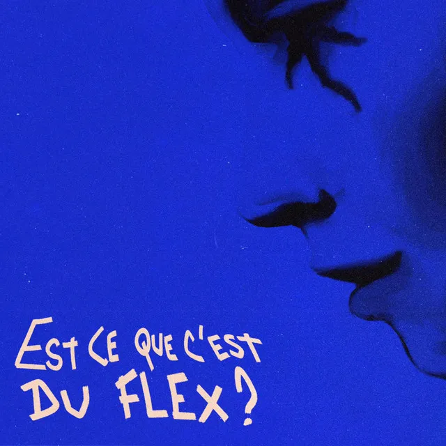 EST-CE QUE C'EST DU FLEX ?