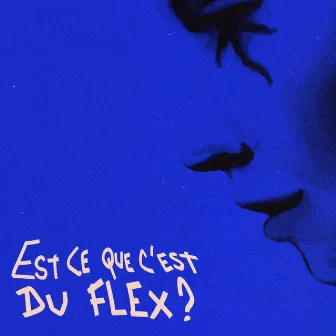 EST-CE QUE C'EST DU FLEX ? by Sno3