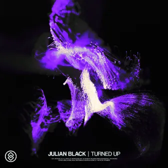 Turned Up by Julian Black