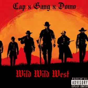 Wild Wild West by Cap X Gang X Domo