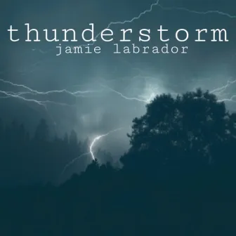 Thunderstorm by Jamie Labrador