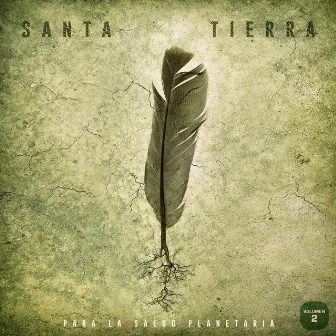 Santa Tierra Para La Salud Planetaria, Vol. 2 by Gladys Conde