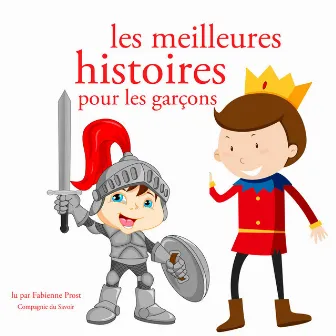 Les meilleures histoires pour les garcons (Les plus beaux contes pour enfants) by Hans Christian Andersen