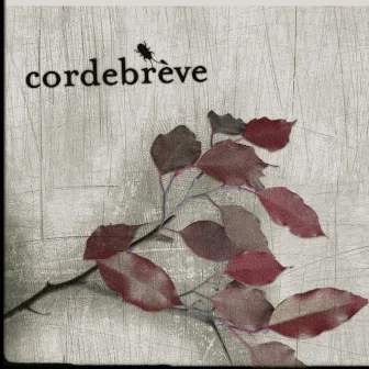 Corde Brève by Cordebreve