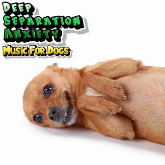 Dog Relaxation & Calming Stress Relief Music by Dog Relaxation & Stress Relief