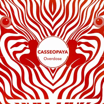 Overdose by Casseopaya