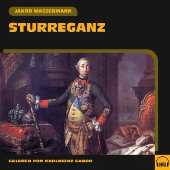 Sturreganz by Jakob Wassermann