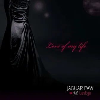 Love of My Life by Jaguar Paw