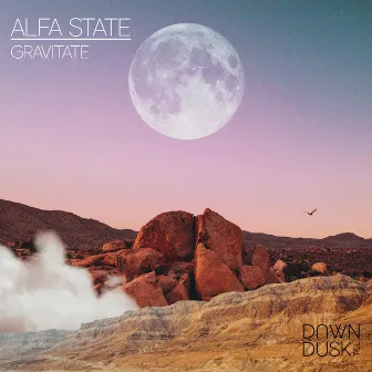 Gravitate by Alfa State