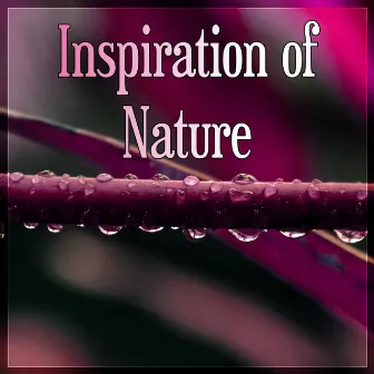 Inspiration of Nature - Sensual Music for Aromatherapy and Massage, Nature Chill Music, Sound Therapy for Stress Relief, Healing Through Sound and Touch by Awesome Nature Sounds Ensemble