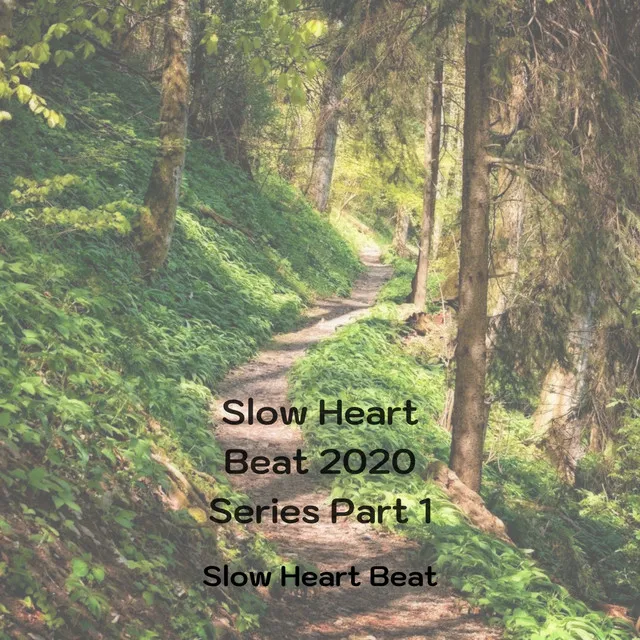 Slow Heart Beat 2020 Series Part 1