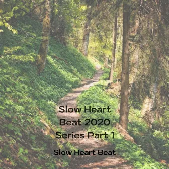 Slow Heart Beat 2020 Series Part 1 by Slow Heart Beat