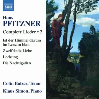 Pfitzner: Complete Lieder, Vol. 2 by Colin Balzer