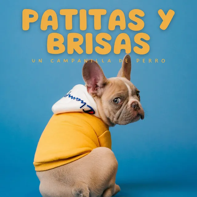 Patitas Y Brisas: Un Campanilla De Perro