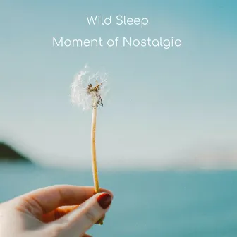 Moment of Nostalgia by Wild Sleep