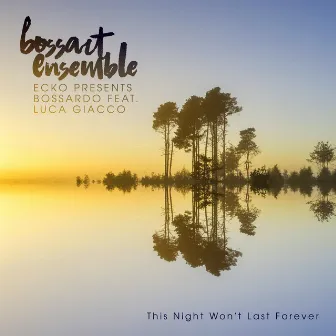 This Night Won't Last Forever by BossArt Ensemble