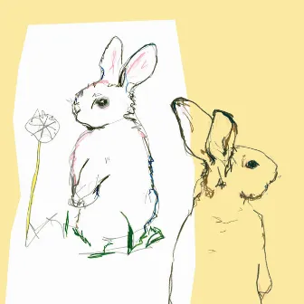 Look Around by Beat Happening