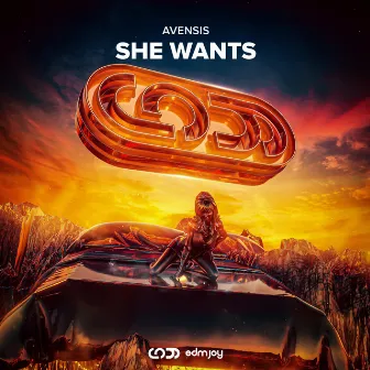 She Wants by Avensis