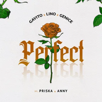 Perfect by Gayito