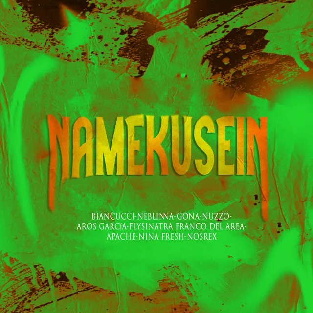 NAMEKUSEIN